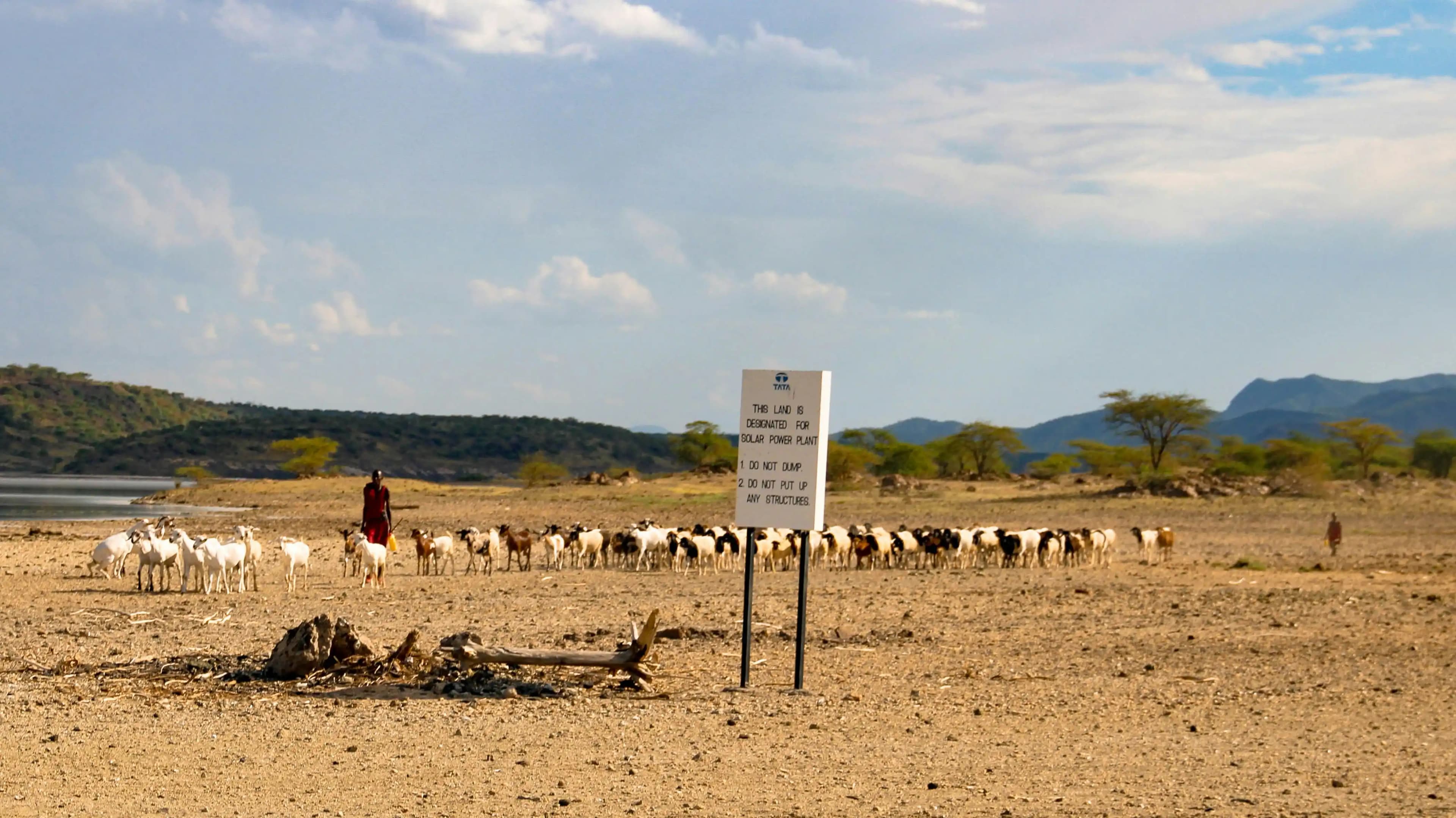 A community meeting under a large acacia tree in Kenya.